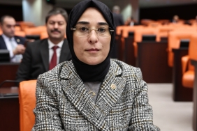 IMG_20240210_193321-1024x750