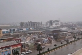 d20325bf-1310-49f1-815b-ea34aceee840