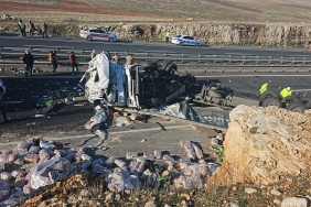 fef375f1-7217-4d5e-9403-7b64ad01723d