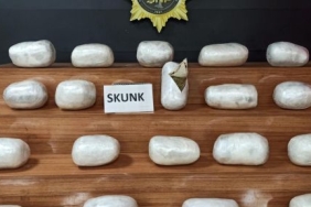 sanliurfa-da-20-kilo-skunk-ele-gecirildi_79ed7