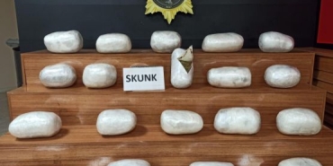 sanliurfa-da-20-kilo-skunk-ele-gecirildi_79ed7