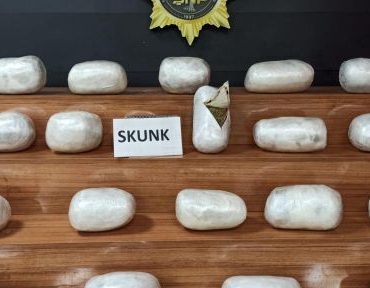 sanliurfa-da-20-kilo-skunk-ele-gecirildi_79ed7