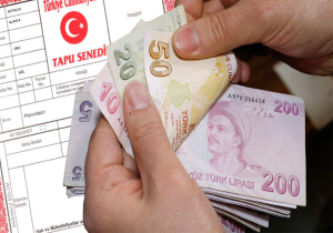 Hisseli Tapu Satışında Yeni Dönem Paylar Artık Böyle Bölünecek
