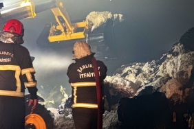 0d985bb8-abb8-4d2d-be31-fbbc7a87ca0c