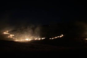 33c9be65-6b6d-4821-8f9c-6bbdc1e6668e