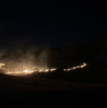 33c9be65-6b6d-4821-8f9c-6bbdc1e6668e
