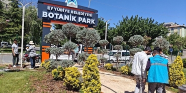 7259672a-3b04-418d-a0bb-f698425f3b60