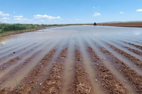 suruç sular altında