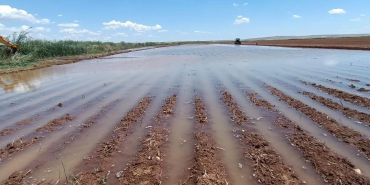 suruç sular altında