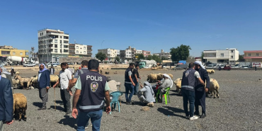 Şanlıurfa’da Polisten Hayvan Pazarına Denetim