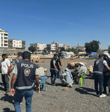Şanlıurfa’da Polisten Hayvan Pazarına Denetim