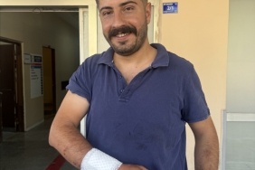 aa_picture_20240616_34892317