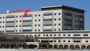 ceylanpınar