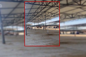 siverek hayvan pazarı silahlı kavga