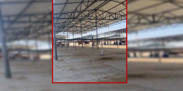 siverek hayvan pazarı silahlı kavga