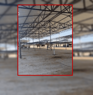 siverek hayvan pazarı silahlı kavga