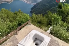 669f9869c99c3131__w1200xh1239