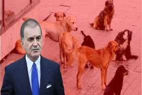 ömer celik hayvan hakları