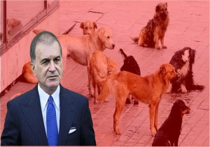 ömer celik hayvan hakları