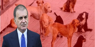 ömer celik hayvan hakları