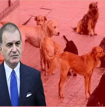 ömer celik hayvan hakları