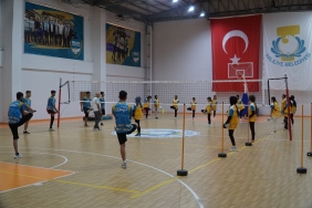 a5a60c87-833b-493d-a058-07bca495e479