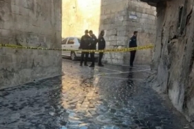 ff75e113-a4ee-42b5-a5b4-22fb9ec63afa